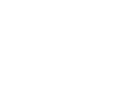 The Liberation Movement